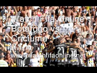 Criciuma vs Botafogo 10 MAY 2014