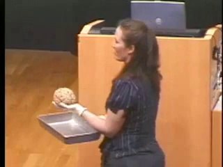 Lecture 01 - Introduction and Background for General Human Anatomy