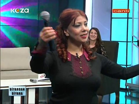GÖNÜL GÜLHAN - HABERİN VARMI