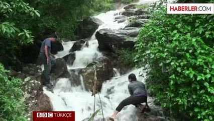 14 Yeni "Dans Eden Kurbağa" Türü Bulundu