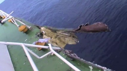 US senators: China sea actions 'deeply troubling'