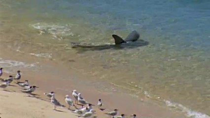 부평역건마걸《아찔한밤》추천abam③net군포건마걸가격←∫