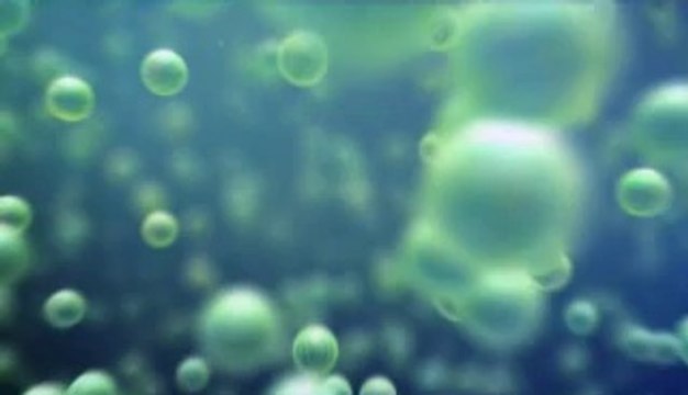 성북오피걸는 『아밤』검색 양제오피걸 안산오피걸