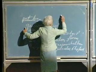 Lecture 05 - Muscular System IV