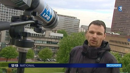 Quatre bébés faucons sont nés au sommet d'une tour à Lyon