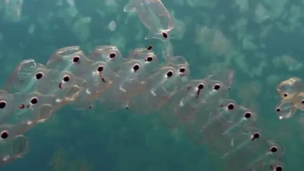 연산건마걸《아찔한밤》추천abam③net서면건마걸가격¶￠