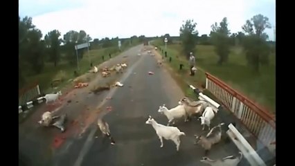 Sharab Pi Kar Gari Drive karnay walay Driver nay kia kiya