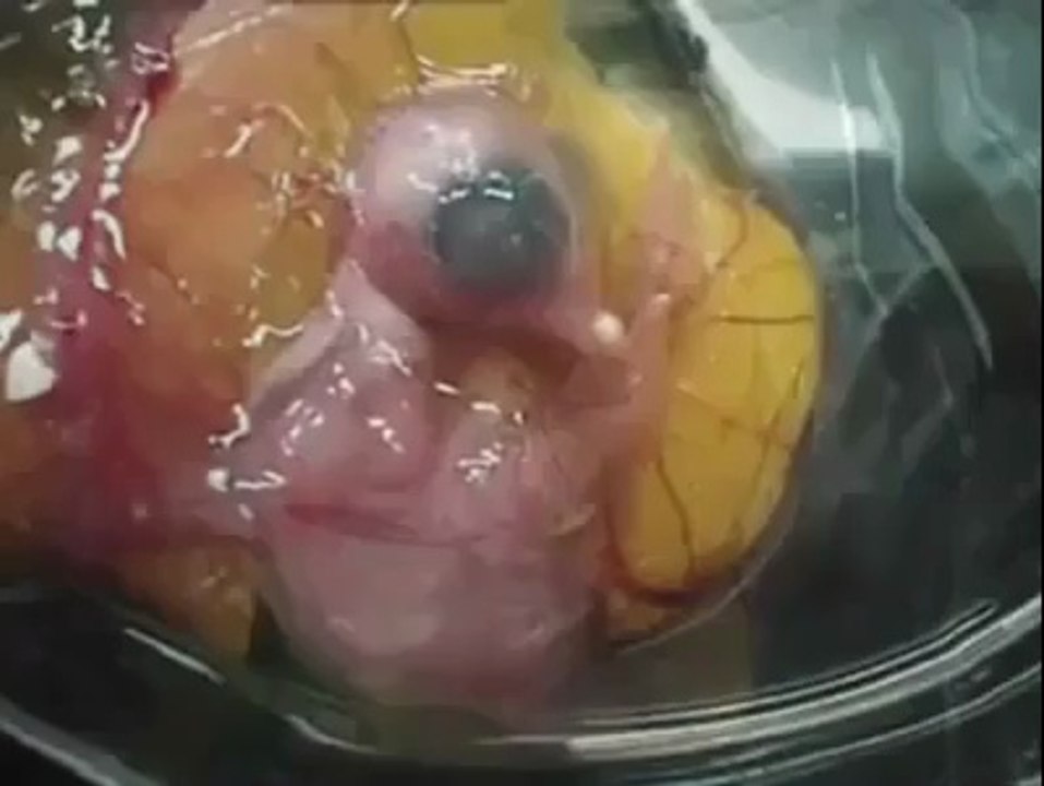 only ALLAH can do this.
