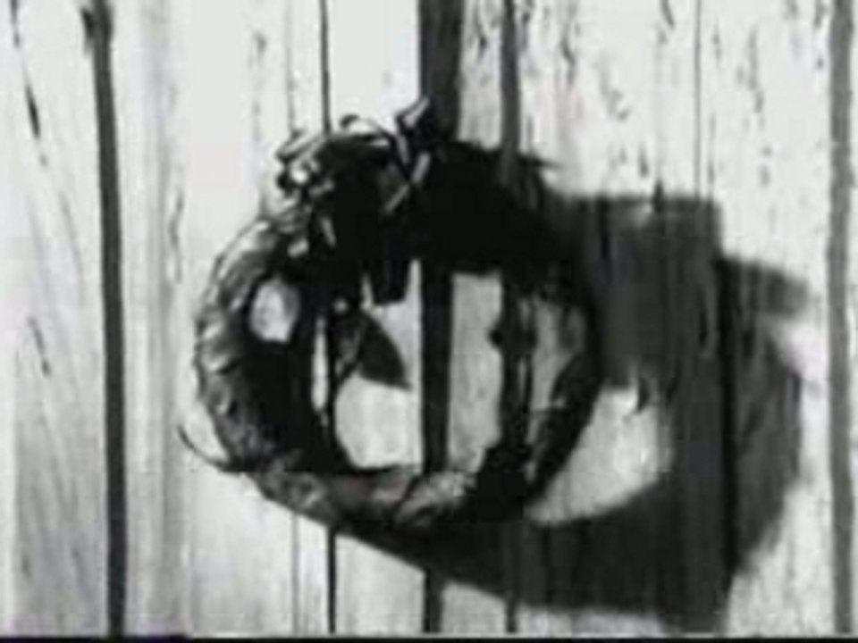 Joe Satriani - I Believe (video clip)