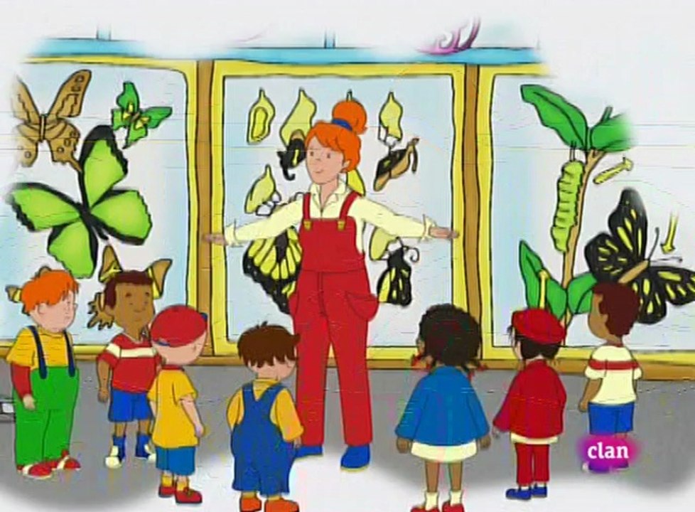 CAILLOU -Sorpresas y mariposas