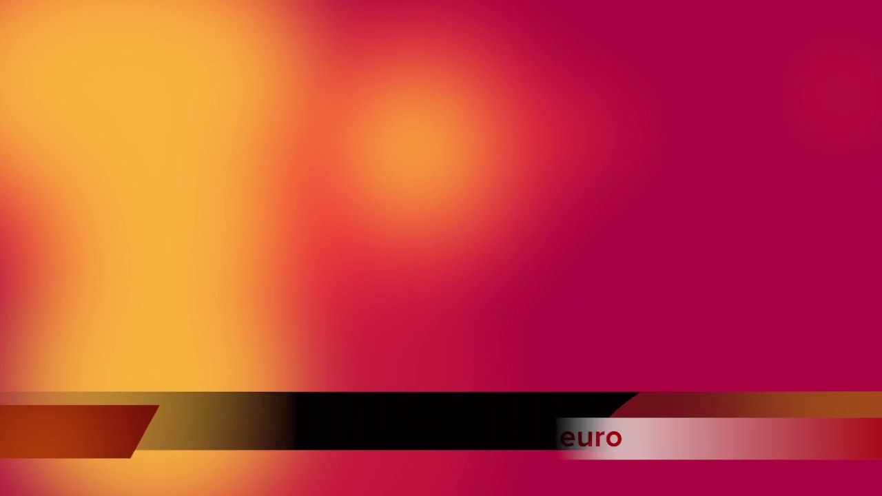 LES PROBLÈMES DE L'EURO