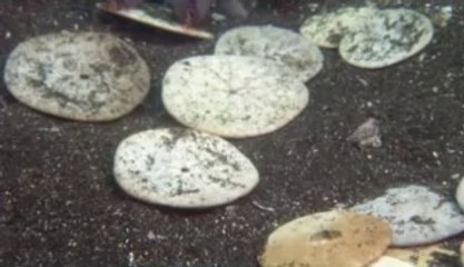 광화문오피걸는 『아밤』검색 팔달오피걸 김포오피걸