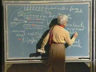 Lecture 10 - Digestive System IV; Hematology I