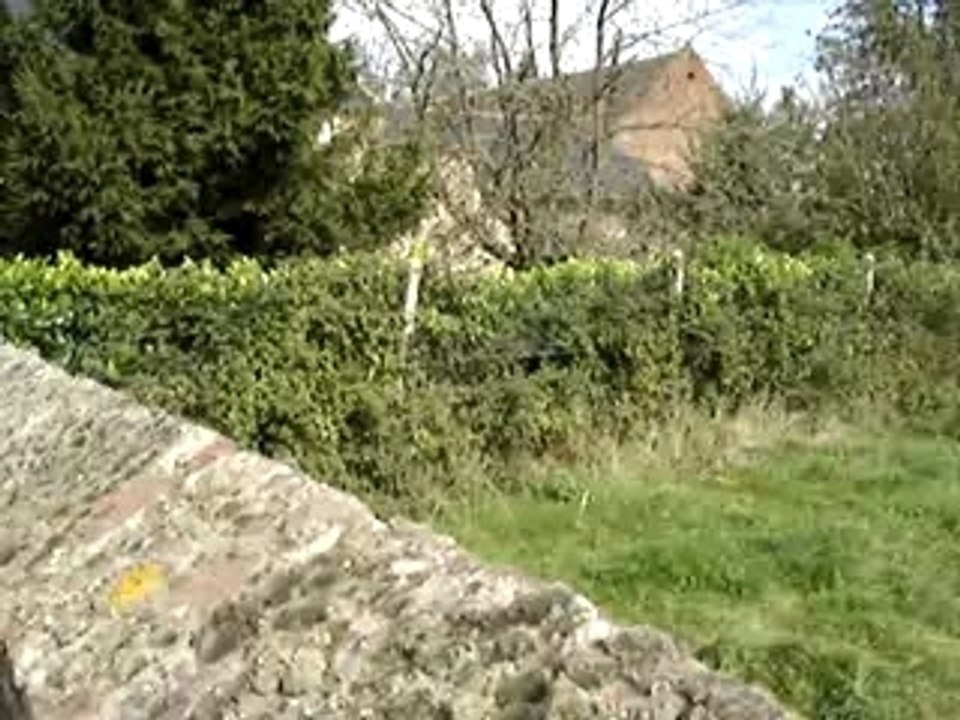 Au dessus du mur...le terrain