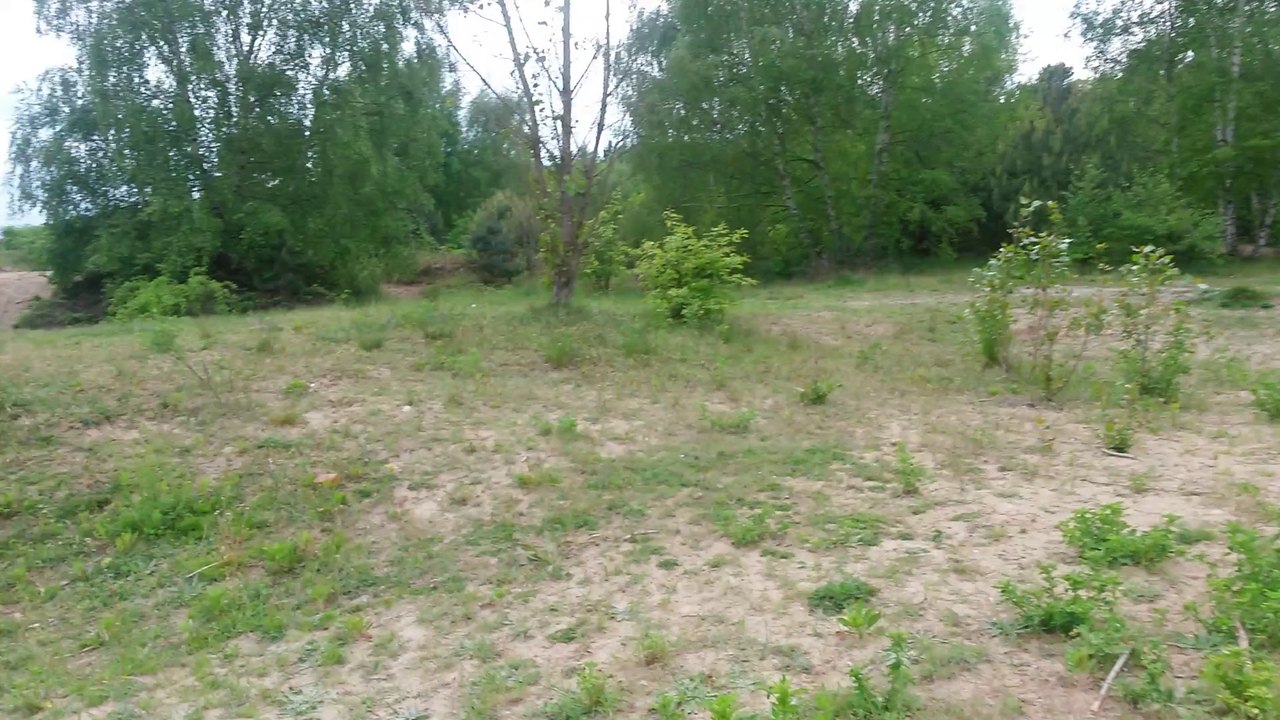 011 elfterTag mit Vestibular 10-05-2014 --- 16 - 30 uhr