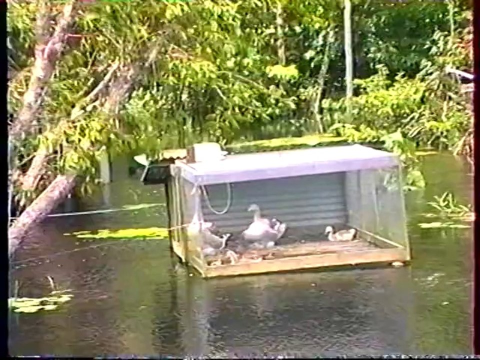 Souvenirs de Guyane 1993 (1/3)