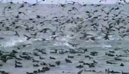 사당오피걸는 『아밤』검색 대구오피걸 주안오피걸