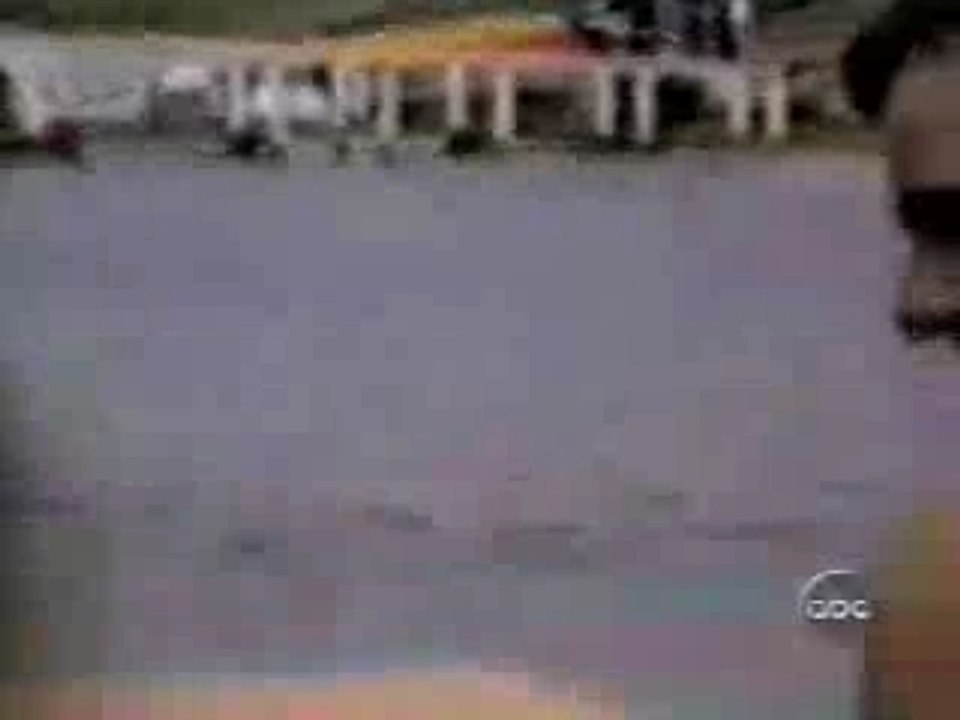 Bétisier des chutes