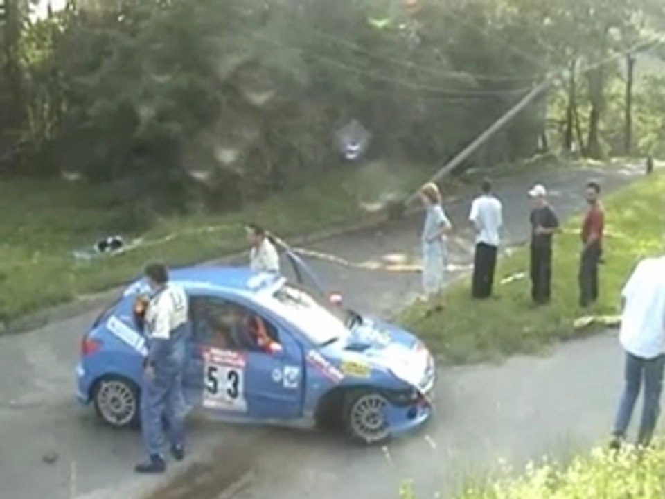 Crash 206 - Suisse