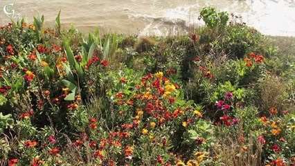 Growing Concerns: The spring equinox gallery