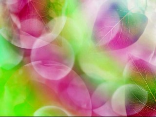 ANNELER GÜNÜ KUTLU OLSUN