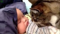 Animali che si prendono cura di neonati