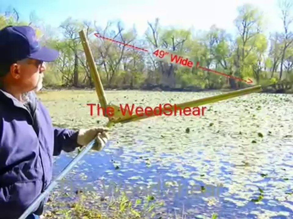 Pond Weed Control and Aquatic Plant Management