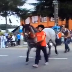Everyone knows to never ever touch a horse-s...