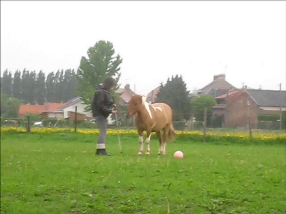 caramai2014