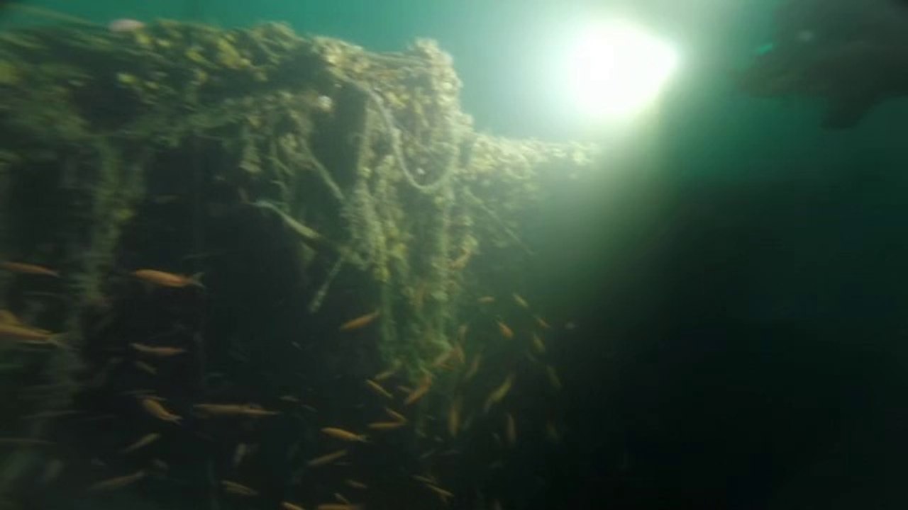 2014-05-10 Plongee #434R98 Epave le Stella - Marseille - Faible Resolution