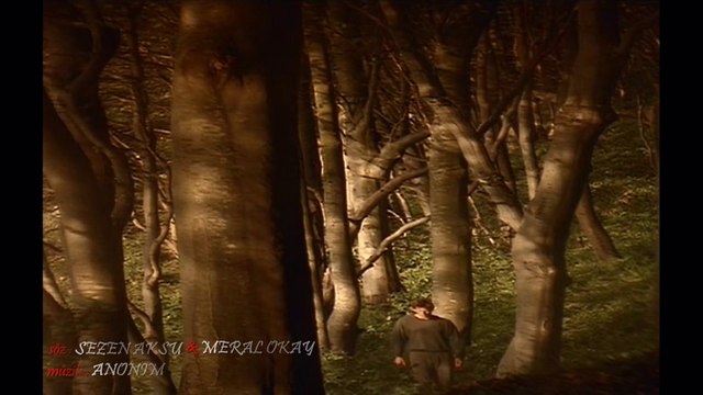 SEVCAN ORHAN VAR GİT TURNAM 2014 HD KLİP by MELEKLERerkekOLUR