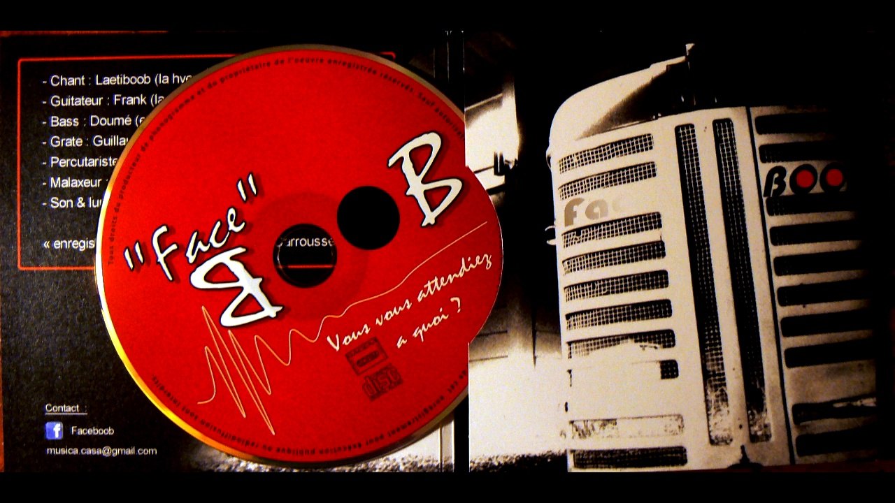 Concert Var FACEBOOB au Bucéphale Draguignan & l' espace des activités de  Flayosc Groupel composé de :Laeti Chanteuse Djé Batteur, Doumé Bassiste,Guillaume Guitariste, Romain Percussionniste et Guitariste, Franck Guitariste et Chanteur, Dracénie Var