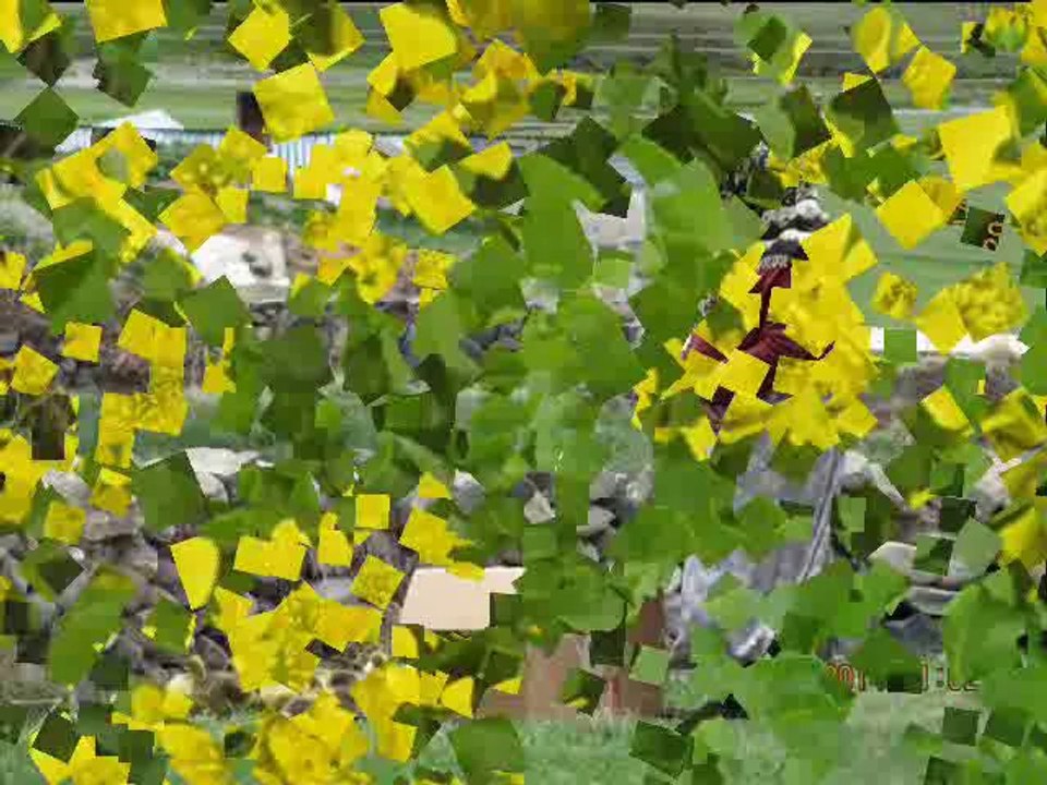 Neşe Demir - Ardahan Türküleri @ Mehmet Ali Arslan Videos