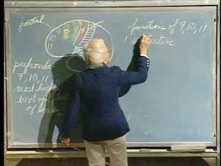 Lecture 26 - Nervous System IX