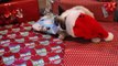Grumpy Cat and Pokey on Christmas