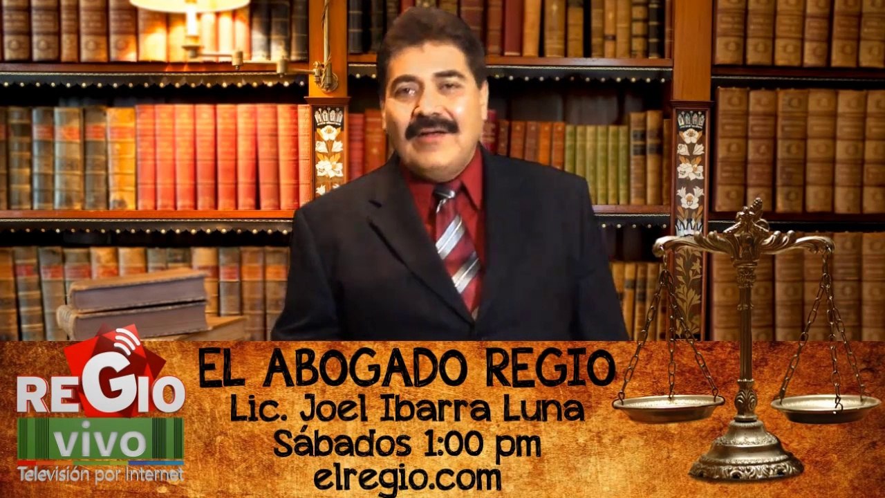 PERROS AL AIRE. Propuesta de ley pro-animal