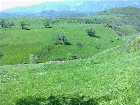 ZOZAN U WELAT RUHEMIN RIHE DAMLA TV UZUN HAVA