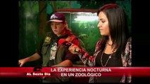 La experiencia nocturna en un zoológico: todo un espectáculo en Huachipa (1/2)