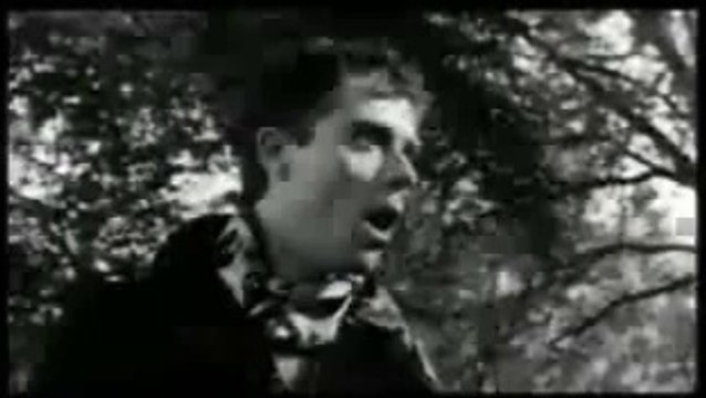 LE PLASTIQUE C'EST FANTASTIQUE-elmer food beat