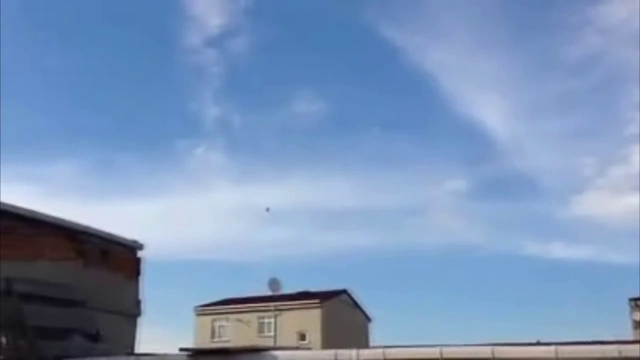 musa -Karadag taklaci- guvercinleri