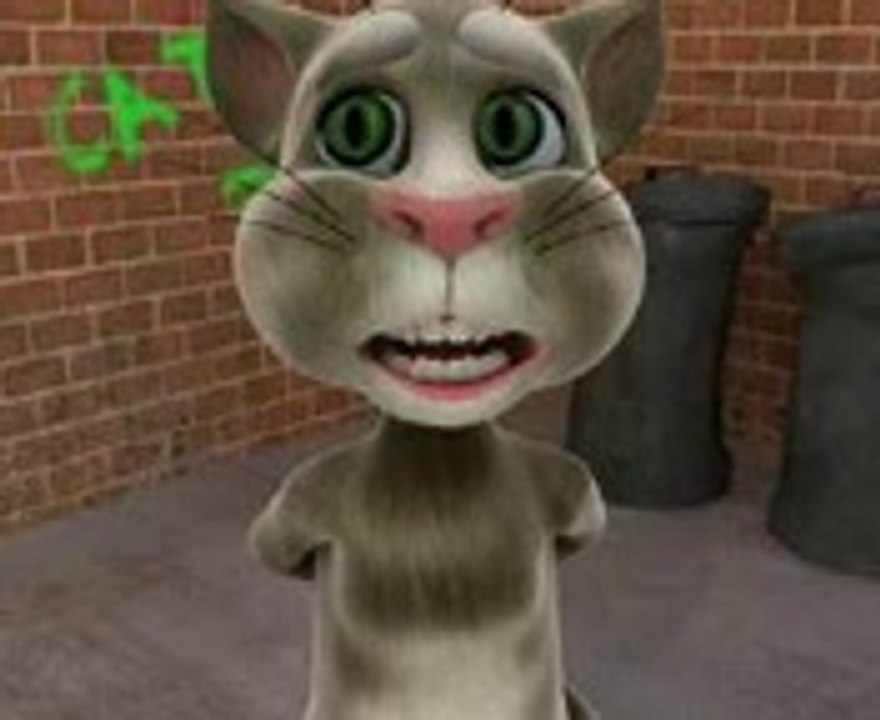 kanjar dabang billi Funny Tom Cat - video Dailymotion