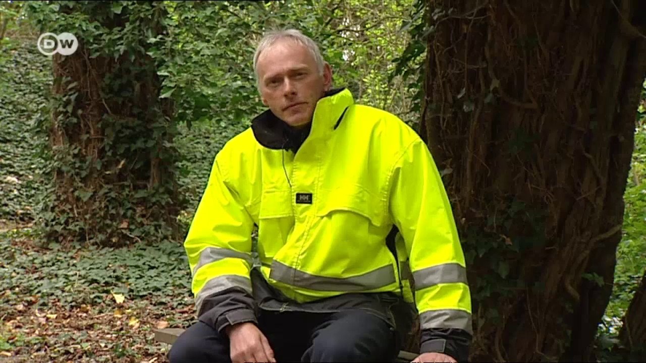 Mittelelbe - drei Reisetipps | Hin & weg