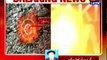 Blast in Peshawar killed 4, 7 injured