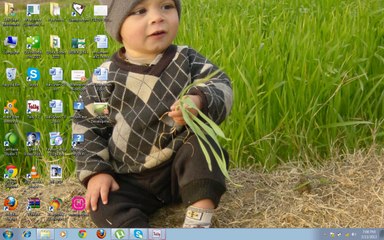 Tally tutorial in pashto chapter # 06
