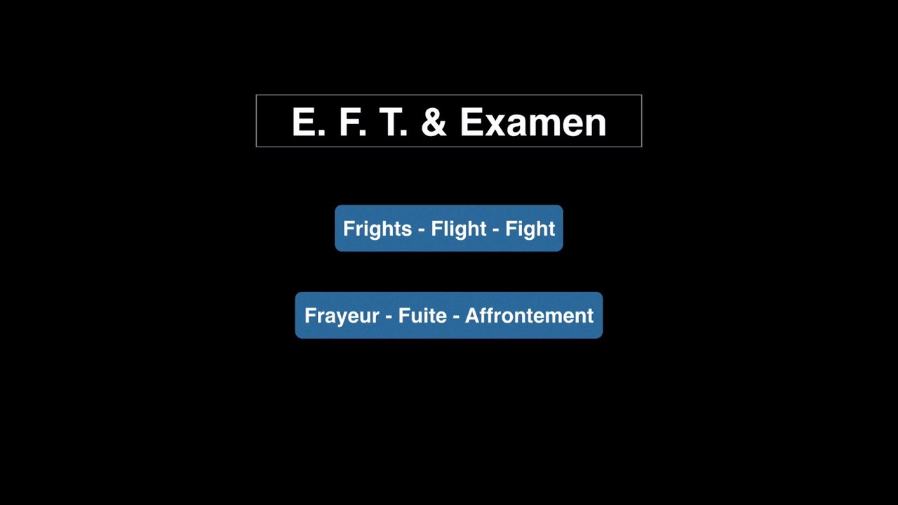 Préparation Examen