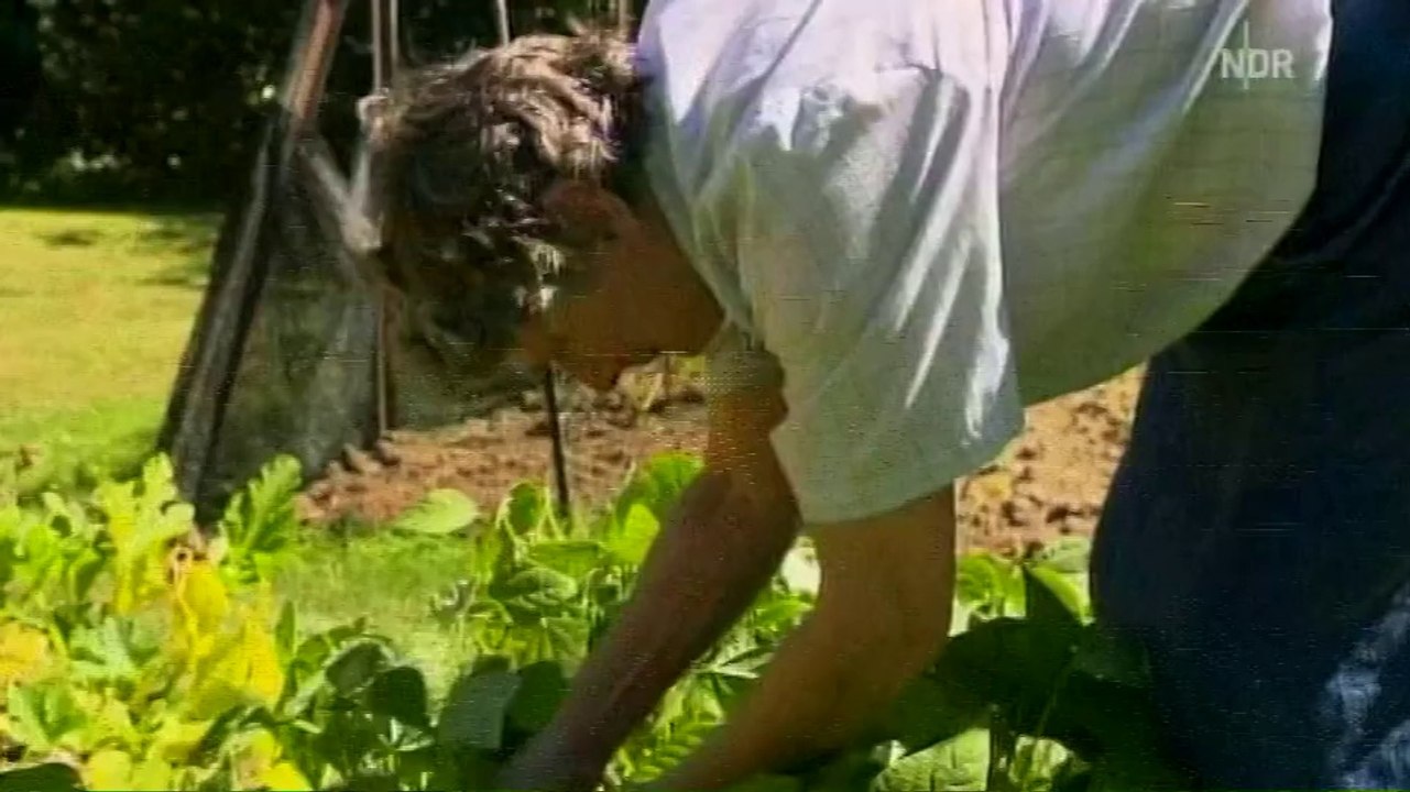 mareTV - Sommer in Neuseeland