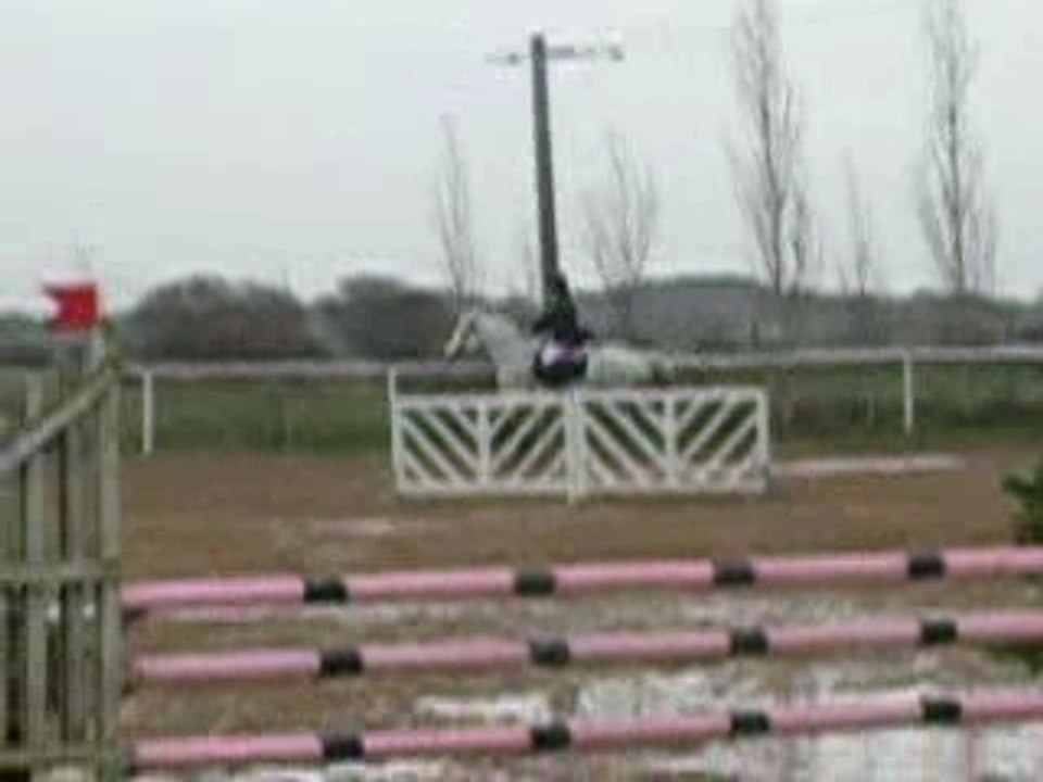 Concours aux écuries de l'or blanc