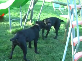 2014-05-10 idem et hamorée