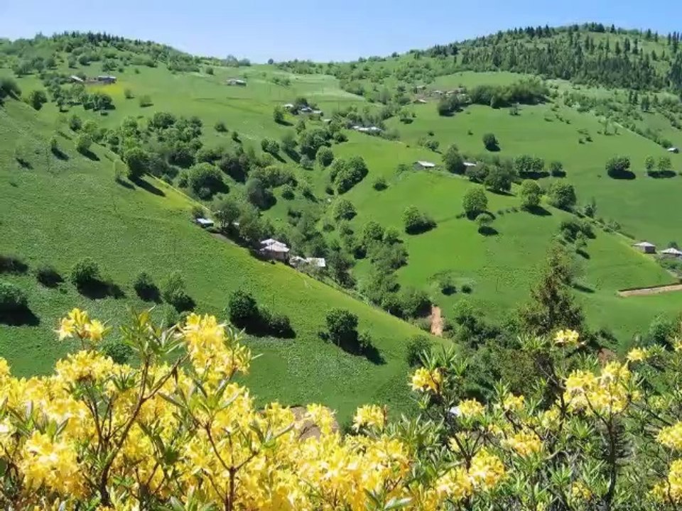 GÜNGÖR YILDIZ...müslüm gürses cok üzgünsün arkataş