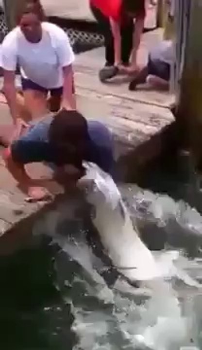 Dev Balığa Kolunu Kaptıran Adam